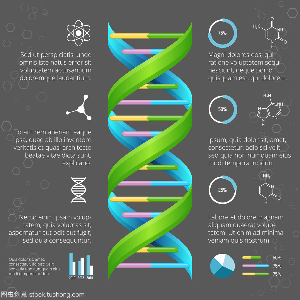醫(yī)學和生物學研究 Dna 結構的圖表模板