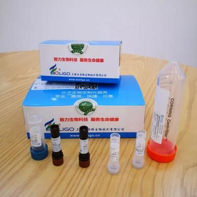 給力!抗擊新冠肺炎,長三角G60科創(chuàng)走廊松江企業(yè)貢獻核心技術(shù)產(chǎn)品