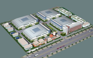 現(xiàn)代化大棚羊肚菌與黑木耳蔬菜輪種果樹(shù)套種食用植物油加工廠可行性報(bào)告范文