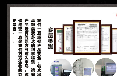 批發(fā)向天果提取物 廠家直供 10:1原料淬煉 高品質(zhì)優(yōu)價(jià)